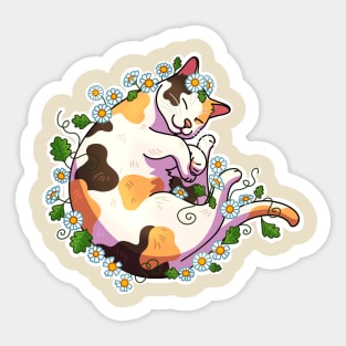 Munchkin cat surrounded by daisies Sticker